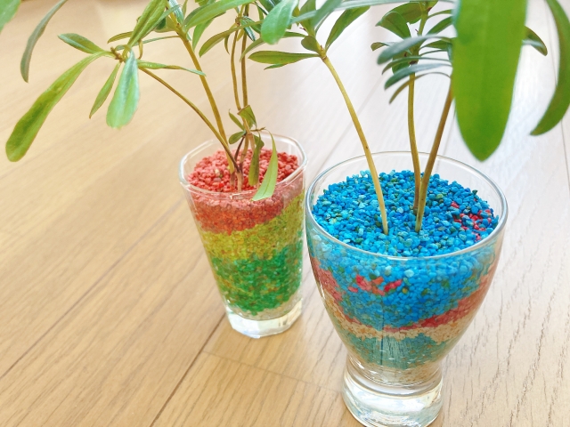 観葉植物をよく見ると元気がない 絶対に覚えておくべき対処法とは 家は宝箱